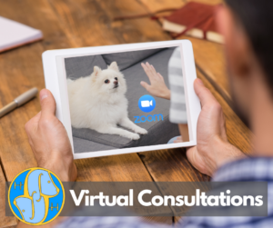 Man looking at dog being trained on tablet - Virtual consultations link